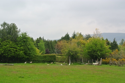 Greenan Farm